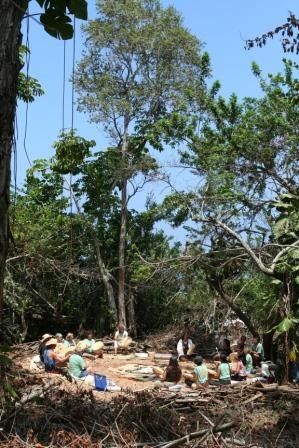 Drum Circle in Trees